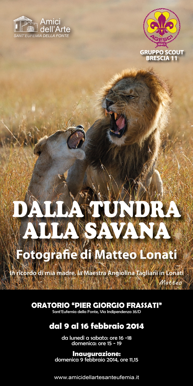 mostra tundrasavana 2014 brochure